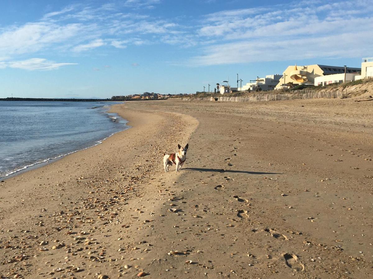 Blue Beach Studio Agde Zewnętrze zdjęcie